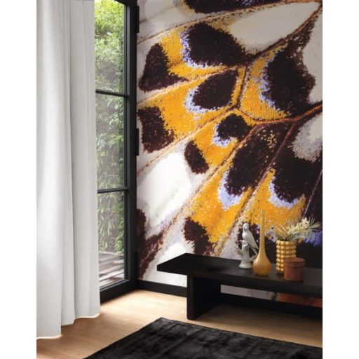 Pillangó szárnyának lenyűgöző részletei fehér kék sárga lila fekete falpanel