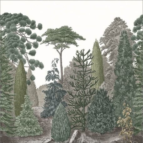 Fenyvesek és egzotikus fák panorámaképe régimódi metszet stílusban fehér zöld szürke tónusok falpanel