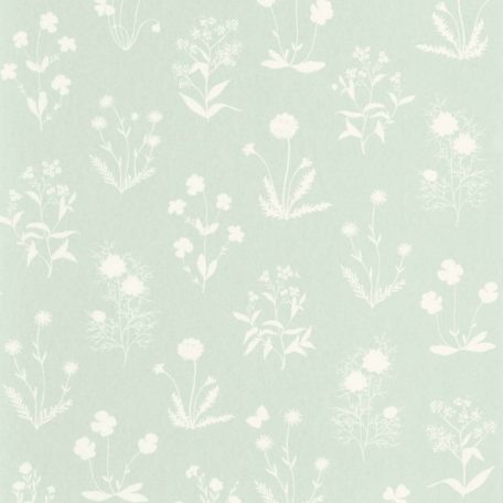 Diszkrét virággyűjtemény - kecses virágok aloe zöld fehér tapéta