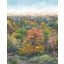 Fenséges őszi erdő gouache festésű szines lombozattal "L" zöld sárga vörös szines falpanel