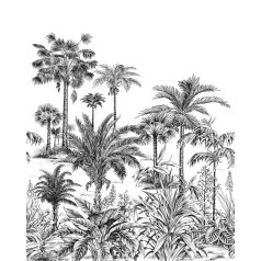   Trópusi életkép - pálmák alokáziák és sokan mások "M" fehér és szénfekete tónus falpanel