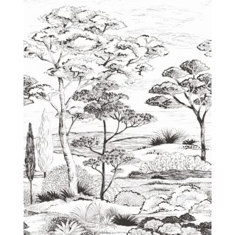  Idilli korzikai táj fenyőkkel ciprusfenyőkkel és füvekkel metszet "M" méret fehér szürke és fekete tónus falpanel