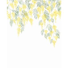   Hangulatos mediterrán kert mimóza kaszkáddal "S" méret fehér zöld és sárga tónus falpanel