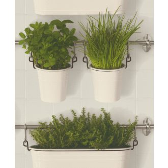   Friss konyhai fűszernövények zöld fehér és ezüst tónus tapéta