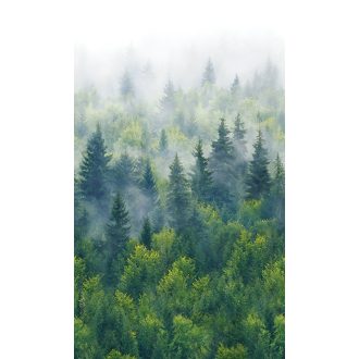   Ködbe burkolózó végtelen zöldellő fenyves panorámája élénk zöld zöldeskék és fehér/törtfehér tónus falpanel
