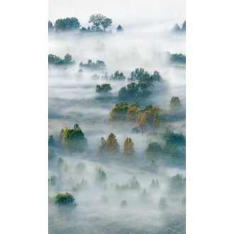   A kora reggeli ködös erdő varázsa - madártavlati természeti panoráma szürkésfehér élénk zöld és sárgásbarna tónus falpanel