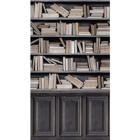 Kopottas könyvszekrény régi könyvekkel sötétszürke törtfehér bézs barna tónus falpanel/digitális nyomat