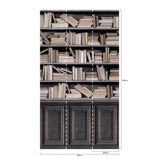 Kopottas könyvszekrény régi könyvekkel sötétszürke törtfehér bézs barna tónus falpanel/digitális nyomat