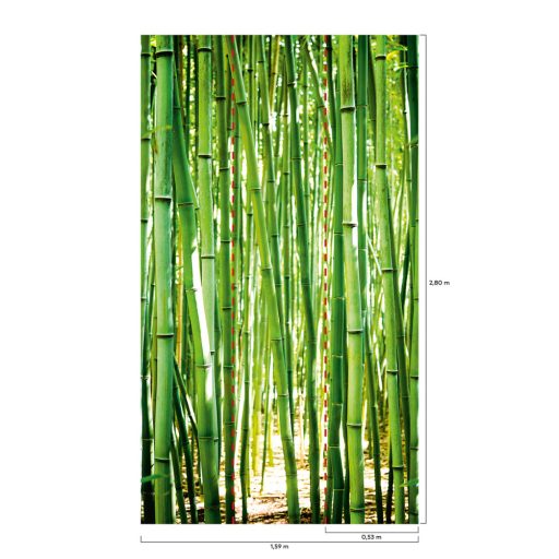 Frissen zöldellő bambuszliget zöld fehér és sárga tónus falpanel/digitális nyomat