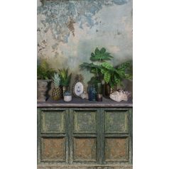   Stílusok keveredése : beton háttér előtt rusztikus komód buja növényekkel zöld kék és szines falpanel/digitális nyomat