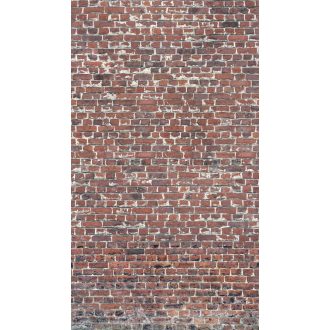 Masszívan álló kopottas