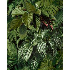   Változatos trópusi levelek fotorealisztikus megjelenítés fekete zöld mályva és fehér tónus tapéta