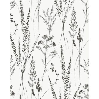  Változatos réti füvek és virágok momokróm megjelenítése fehér és fekete tónus tapéta