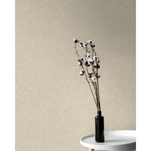 Finoman strukturált egyszínű minta bézs tónus tapéta