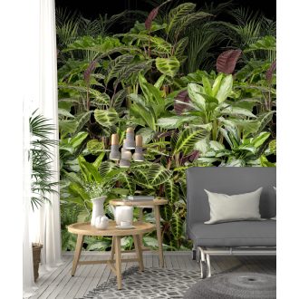   Behang Expresse Digital AK1063 Natur botanikus trópusi növények zöld korallszín fekete digitális nyomat