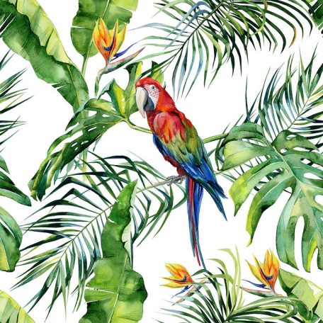 DD116614 Natur trópusi virágos dzsungel motívum ara papagájjal fehér szines digitális nyomat