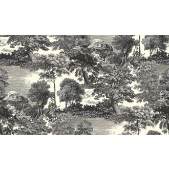   Ősi erdők titkai után kutatva metszet monokróm panoráma fehér szürke és fekete falpanel