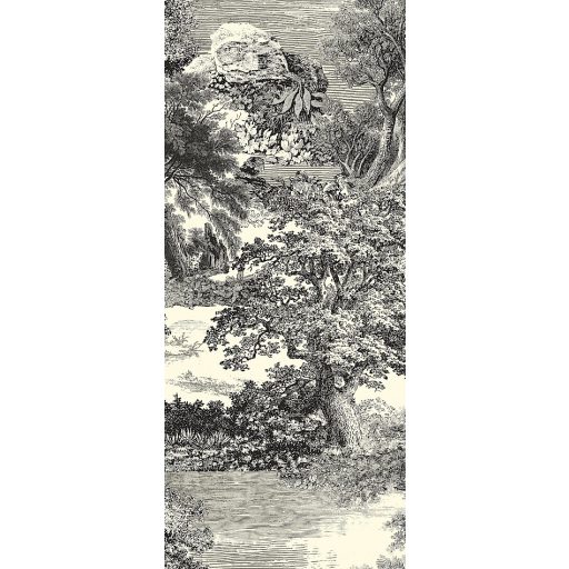 Ősi erdők titkai után kutatva metszet monokróm panoráma fehér szürke és fekete falpanel