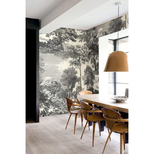 Ősi erdők titkai után kutatva metszet monokróm panoráma fehér szürke és fekete falpanel