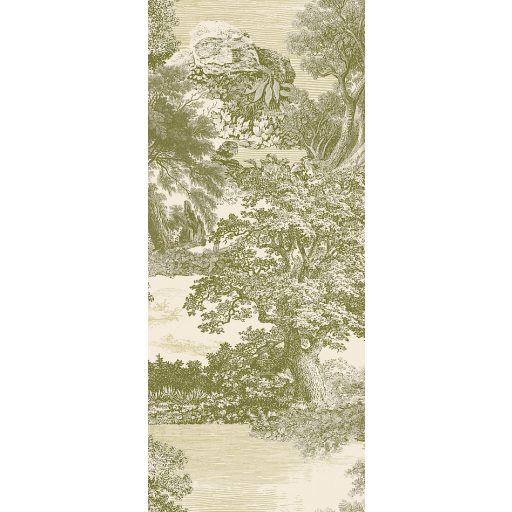 Ősi erdők titkai után kutatva metszet monokróm panoráma krémszín krémes-zöld és olívzöld tónus falpanel