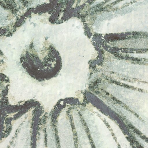 Finoman megrajzolt lefelé hajló virágok és levelek dekormintája bézs zöldeskék zöld és fehér tónus falpanel