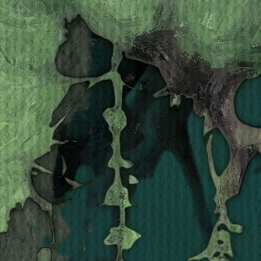 Varázslatos buja dzsungelhangulat elegáns fehér orchideákkal mélyzöld mohazöld fehér szürke és fekete tónus falpanel