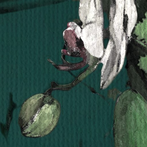 Varázslatos buja dzsungelhangulat elegáns fehér orchideákkal mélyzöld mohazöld fehér szürke és fekete tónus falpanel