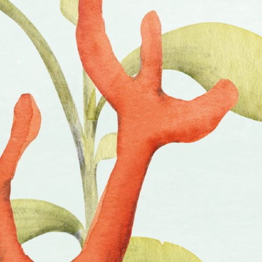 Lélegzetelállító óceáni víz alatti varázslat panoráma fehér korall rózsaszín kék sárga vörös és fekete tónus falpanel