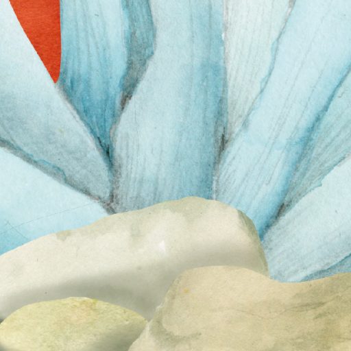 Lélegzetelállító óceáni víz alatti varázslat panoráma fehér korall rózsaszín kék sárga vörös és fekete tónus falpanel