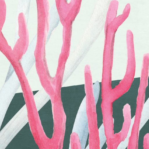 Lélegzetelállító óceáni víz alatti varázslat panoráma fehér korall rózsaszín kék sárga vörös és fekete tónus falpanel