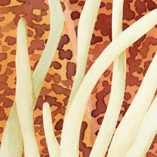 Lélegzetelállító óceáni víz alatti varázslat panoráma fehér korall rózsaszín kék sárga vörös és fekete tónus falpanel