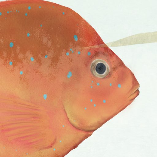 Lélegzetelállító óceáni víz alatti varázslat panoráma fehér korall rózsaszín kék sárga vörös és fekete tónus falpanel