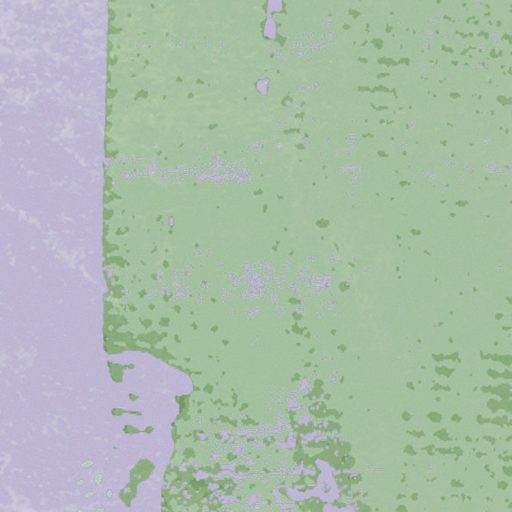 Légies japán ihletésú stilizált szomorúfűz motívum pasztell lila fehér és zöld tónus falpanel