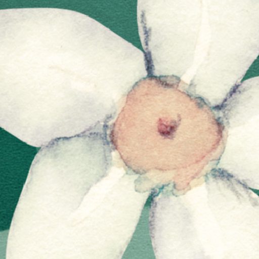 Kifinomult botanikai ihletésű minta egy trópusi kert kompozíciója erdőzöld menta korall/lazac fehér és levendula tónus falpanel