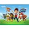 AG Design Paw Patrol Mancs Őrjárat Disney FTDS1957 közepes méretű poszter