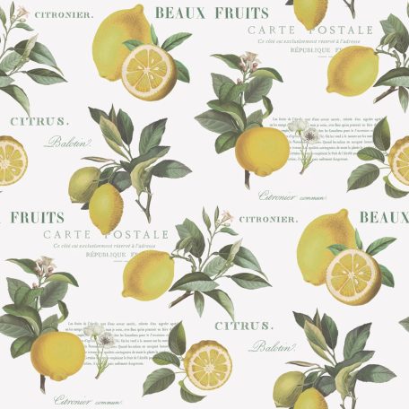 Friss botanikus design - gazdag citrus motívum gyönyörű kalligráfiával fehér sárga és zöld tónus tapéta