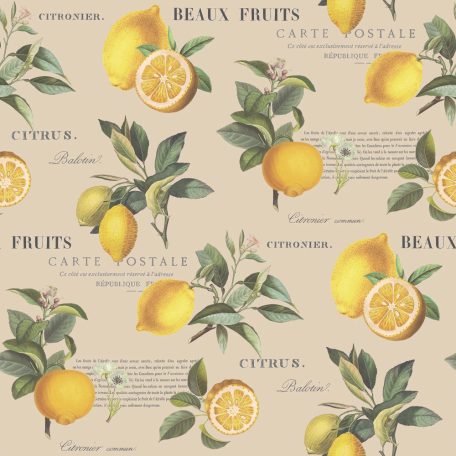 Friss botanikus design - gazdag citrus motívum gyönyörű kalligráfiával szürkésbézs sárga és zöld tónus tapéta