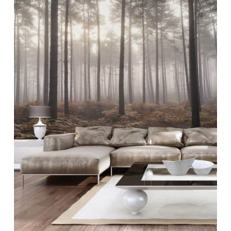   Festői erdőrészlet derengő ködös fényben barna szürke szürkésbézs és fehér tónus falpanel