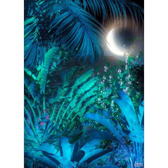   Komar Heritage Edition 1, HX4-036 Intense Trópusi éjszaka ragyogó holdkaréjjal digitális nyomat