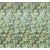 Komar Heritage Edition 1, HX6-003 Botanique Vert sűrű levélmintázat digitális nyomat