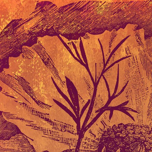 Az év bármely szakában szemet gyönyörködtető meleg árnyalatú virágok naramcs vörös és vöröseslila tónusok falpanel/digitális nyomat