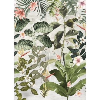   Behang Expresse Floral Utopia INK7556 MAGUFULI GREEN Natur trópusi növények virágok pezsgőszín zöld sötétzöld korall terra falpanel