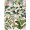 Behang Expresse Floral Utopia INK7556 MAGUFULI GREEN Natur trópusi növények virágok pezsgőszín zöld sötétzöld korall terra falpanel