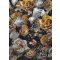 Behang Expresse Floral Utopia INK7572 LUSH HERITAGE DARK Virágos Buja virágörökség fekete sárga rózsaszín fehér falpanel