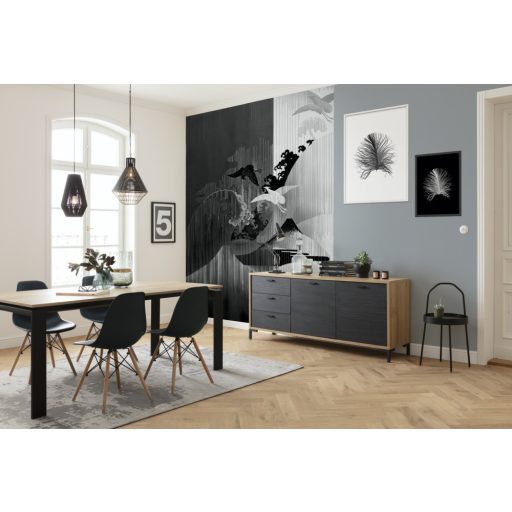 Filozófikus kínai tájábrázolás madarakkal a jin-jang elmélet jegyében fekete és fehér tónus falpanel/digitális nyomat