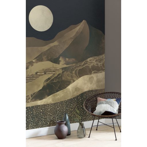 Egyedülálló éjszakai hangulat - Hegycsúcs holdfényben fekete bézs barna szürkészöld és holdfényfehér tónusok falpanel/digitális nyomat