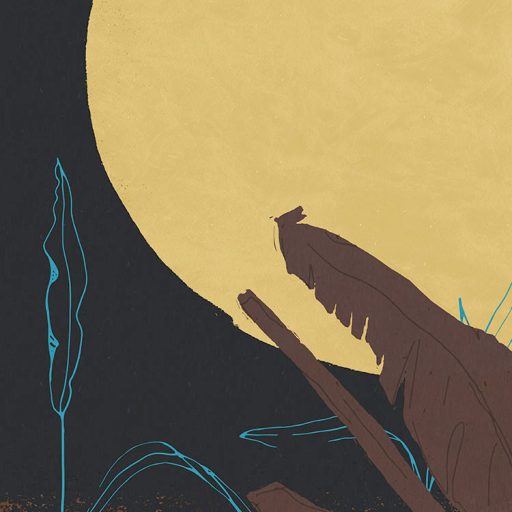 Hétköznapi csillagászat nem mindennapi látvány - Szuperhold fekete barna kék és sárga tónusok falpanel/digitális nyomat