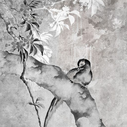 Monokróm természeti ábrázolás a régmúlt bájával fehér szürke és fekete tónusok falpanel/digitális nyomat