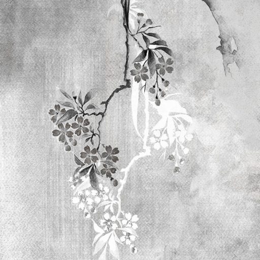 Monokróm természeti ábrázolás a régmúlt bájával fehér szürke és fekete tónusok falpanel/digitális nyomat