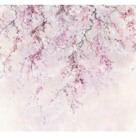 Az egyik legszebb jelenség a természetben - Cseresznyevirágzás rózsaszín pink fehér és fekete tónusok falpanel/digitális nyomat